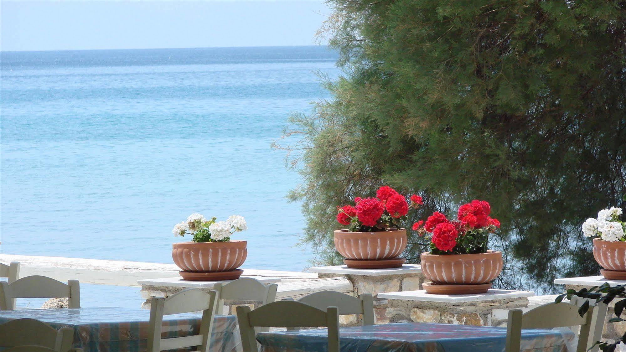 Galatis Beach Hotel Alikí 外观 照片